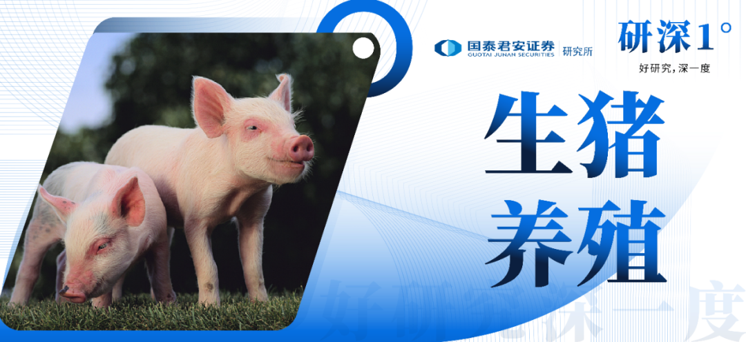未来养猪前景_生猪养殖五大趋势，国君研深 1°深度剖析