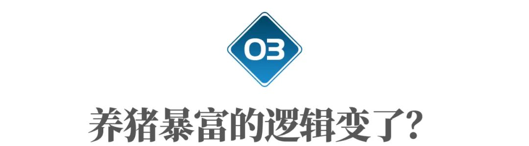 种草养猪利润__ 猪肉价格下跌影响 