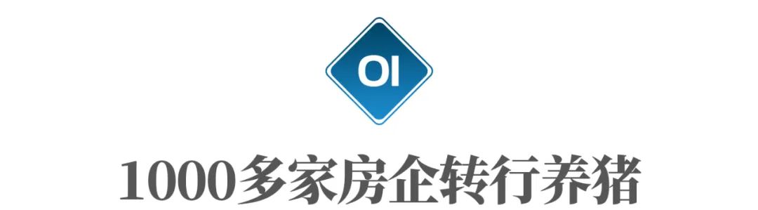 _种草养猪利润_ 猪肉价格下跌影响 