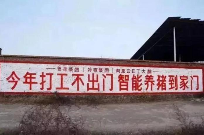 种草养猪利润_ 猪肉价格下跌影响 _