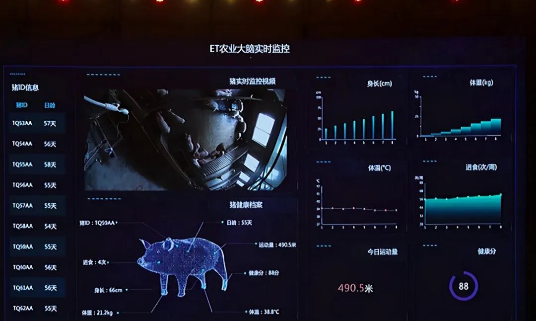 _ 猪肉价格下跌影响 _种草养猪利润