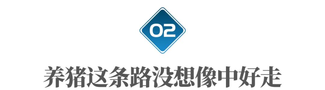  猪肉价格下跌影响 _种草养猪利润_