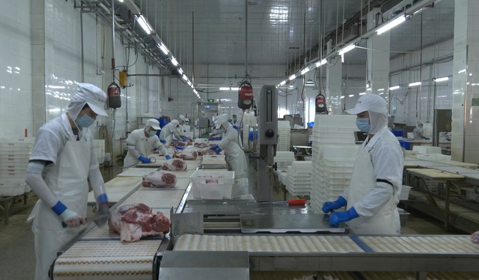 黑龙江畜牧产业链升级_黑龙江肉类食品外销_养殖业养猪工具产品